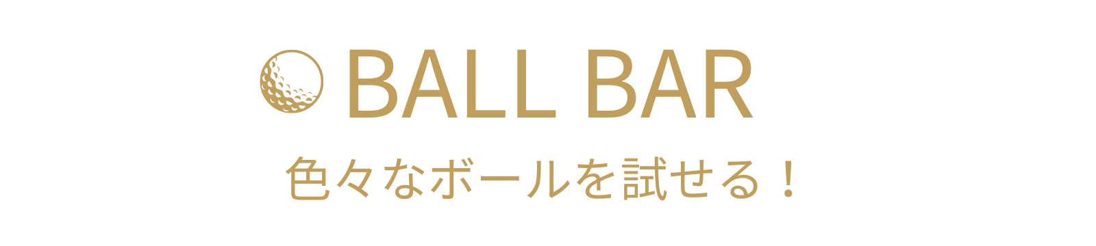 群馬県太田市のシミュレーションゴルフキララゴルフの特長/様々なゴルフボールが試せる